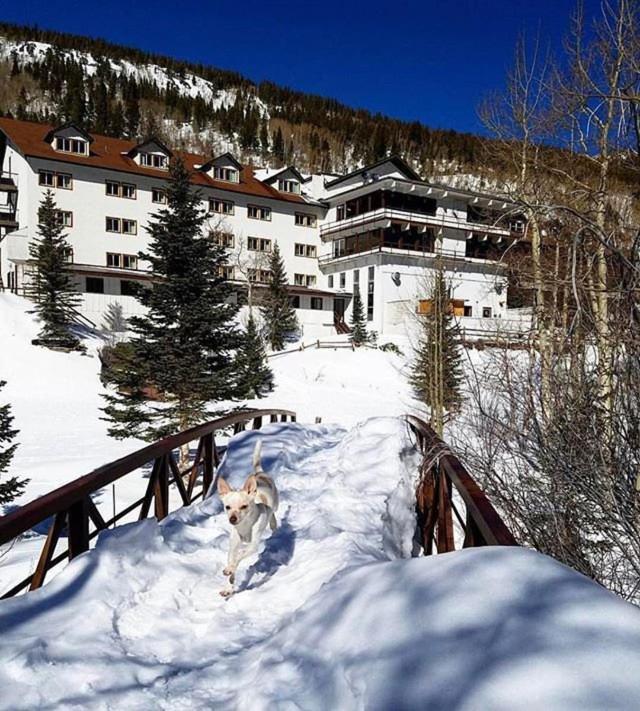 Monarch Mountain Lodge Eksteriør bilde